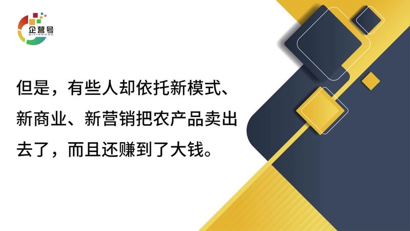 网络营销公司案例对比：揭秘成功背后的关键因素